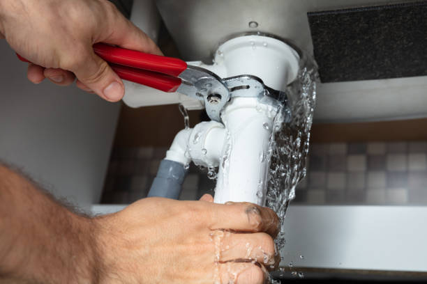 Best Water damage restoration mold remediation  in Johnsonville, SC