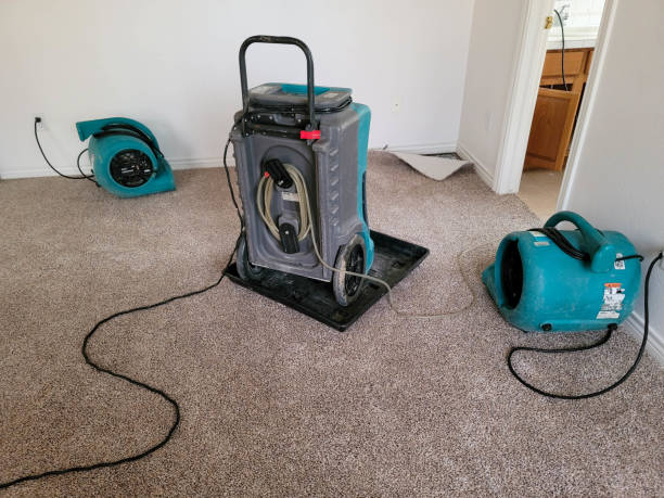 Best Water damage restoration near me  in Johnsonville, SC