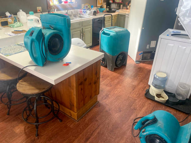 Best Water damage contractors near me  in Johnsonville, SC