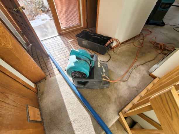 Best Residential water damage restoration  in Johnsonville, SC