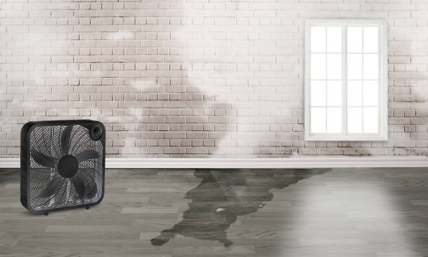 Water damage restoration mold remediation in SC