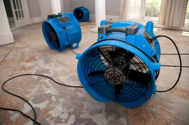 Best Sewage cleanup and water damage restoration  in Johnsonville, SC