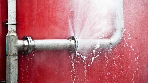 Best Flooded house restoration  in Johnsonville, SC