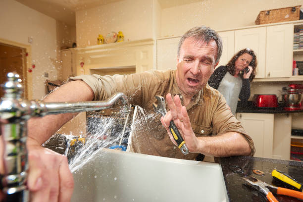 Best Professional water damage repair  in Johnsonville, SC